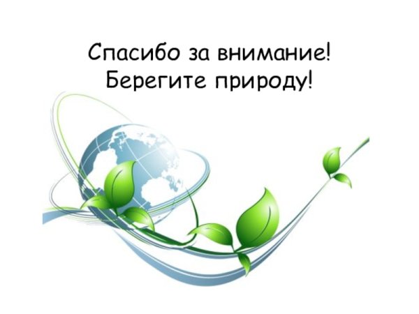Спасибо за внимание природа