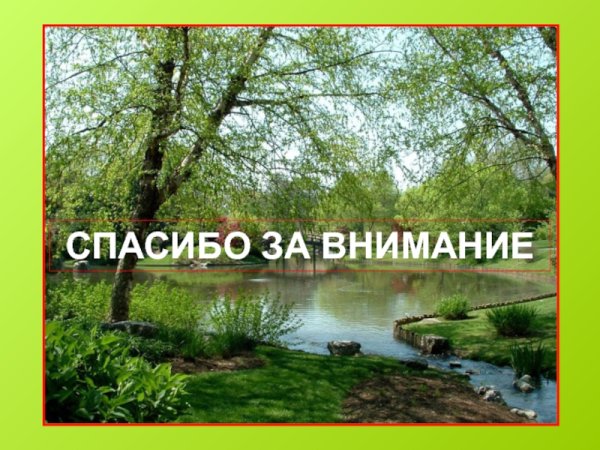Спасибо за внимание экология