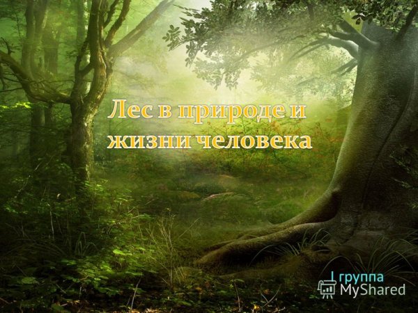 Спасибо за внимание времена года