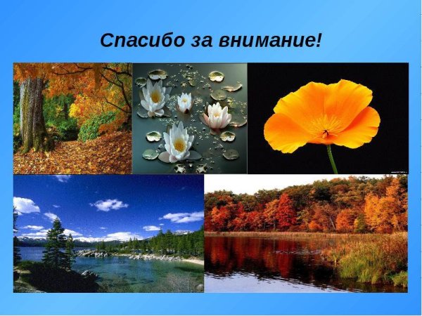 Спасибо за внимание экология