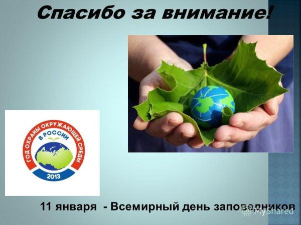 Спасибо за внимание природа