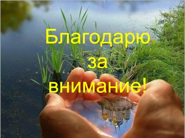 Спасибо за внимание море