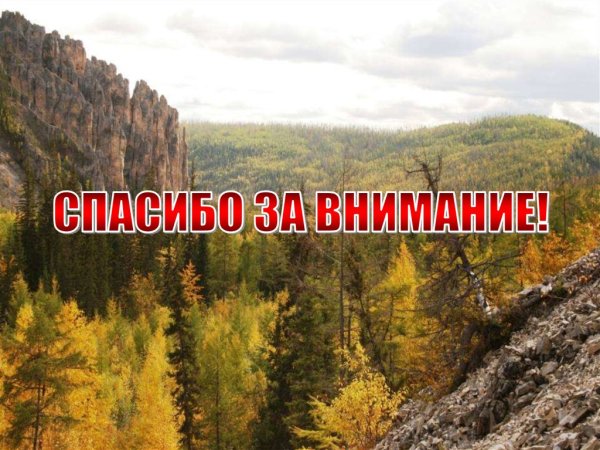 Спасибо за внимание природа