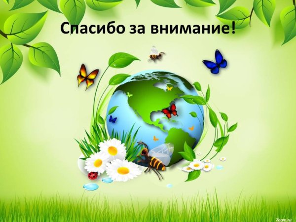 Спасибо за внимание на экологическую тему