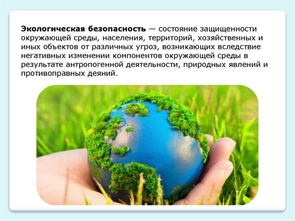 Спасибо за внимание природа