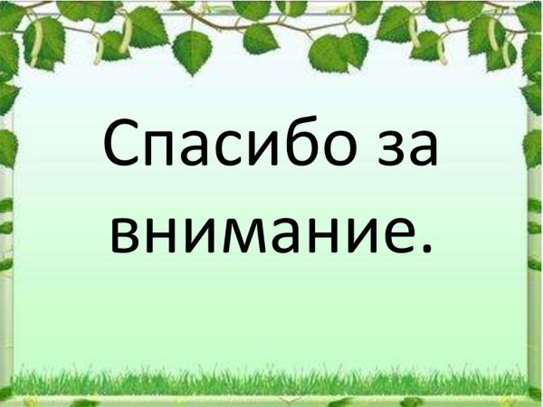 Спасибо за внимание