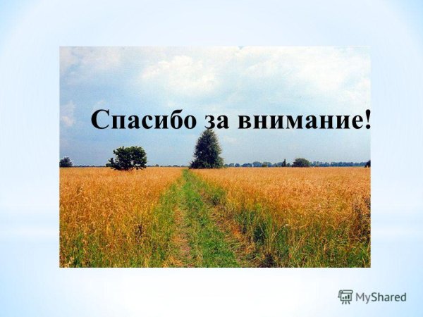 Спасибо за внимание с лесом
