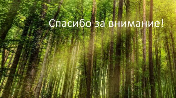 Изображение Родины