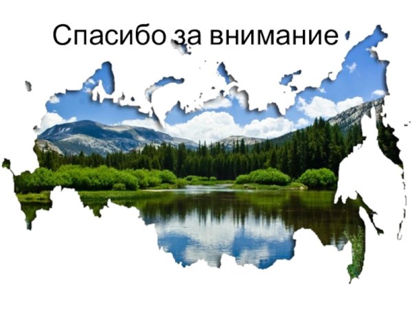 Спасибо за внимание природа