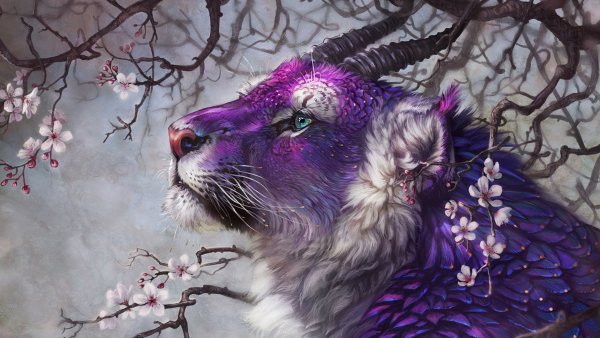 Furry семья Волков