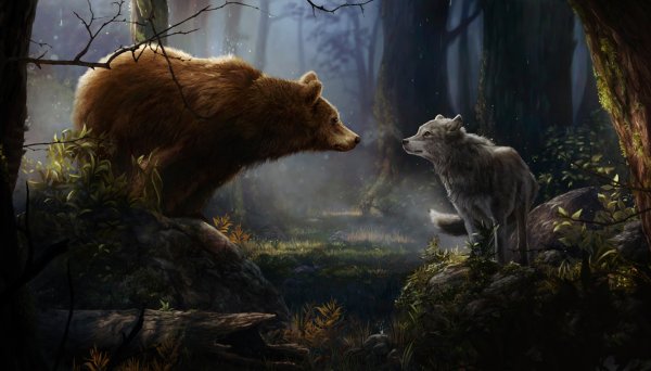 Обитатели сказочного леса