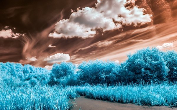 Голубая природа