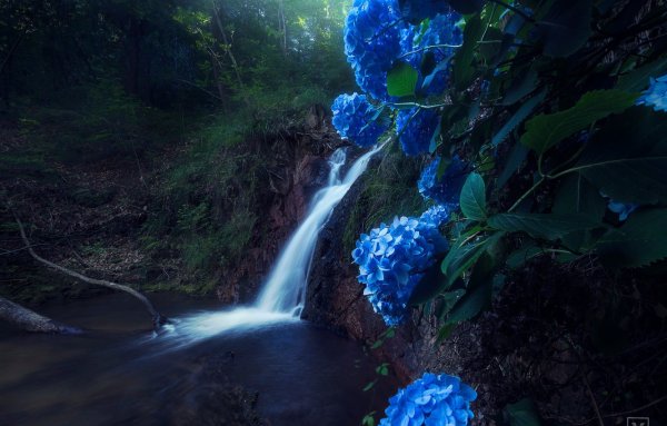 Синяя природа