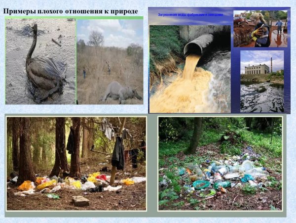 Бережное отношение к природе