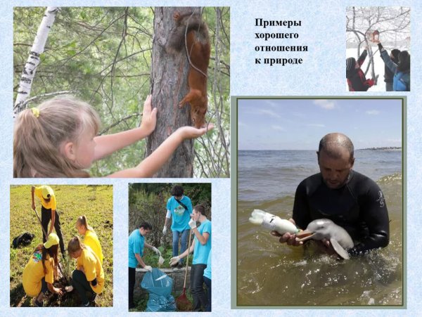 Бережно отношение кприроде