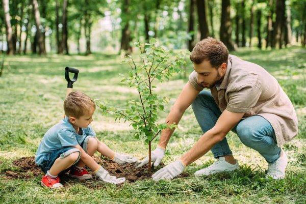 Защита окружающей природы