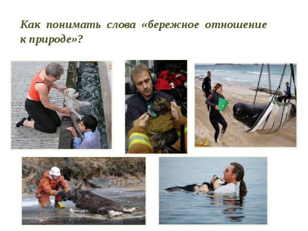 Безответственное отношение к природе