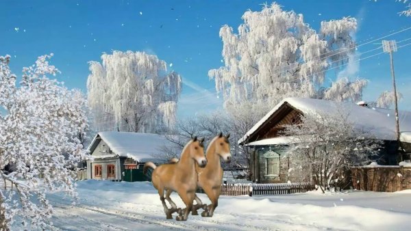 Деревня зимой с живностью