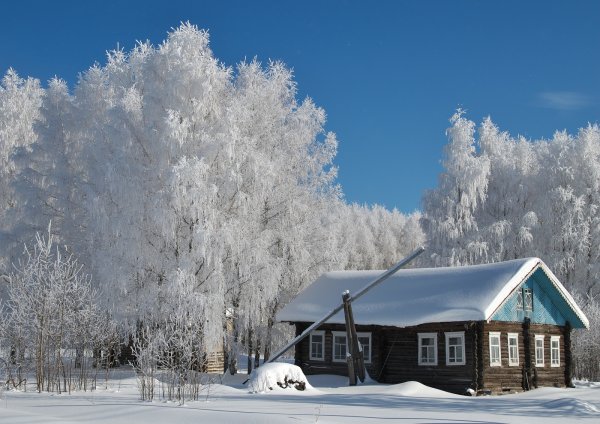 Тульская деревня зимой