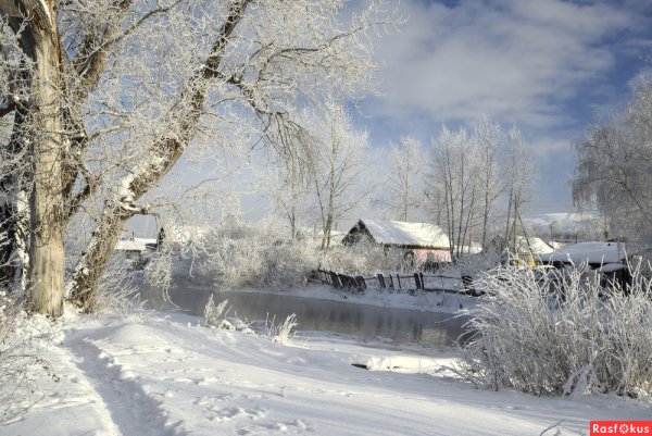 Морозное утро в деревне
