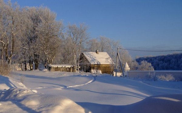 Тульская деревня зимой