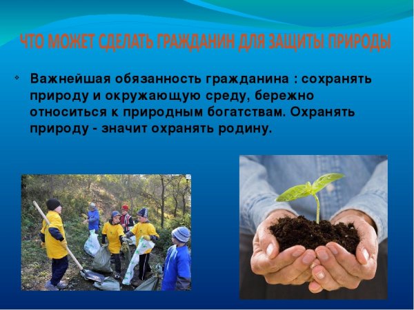 Сохраним природу вместе