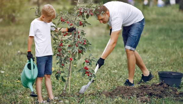Ухаживание за природой детьми