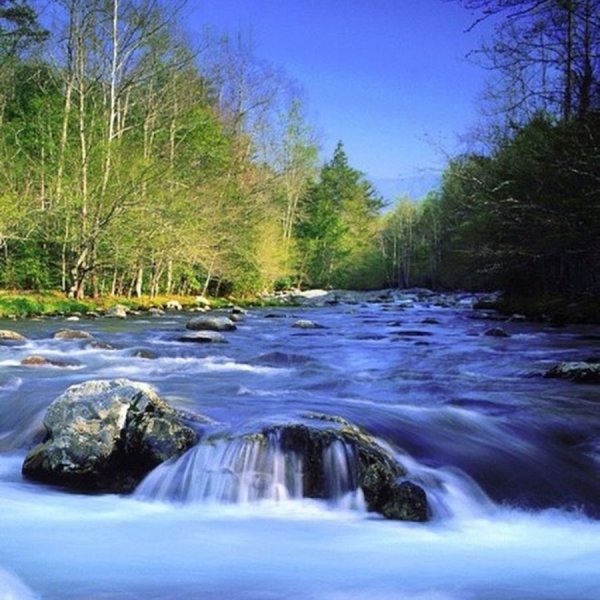 240х320 природа