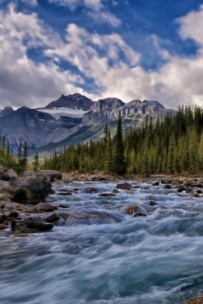 Маленький водопад в лесу
