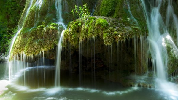 Живая природа