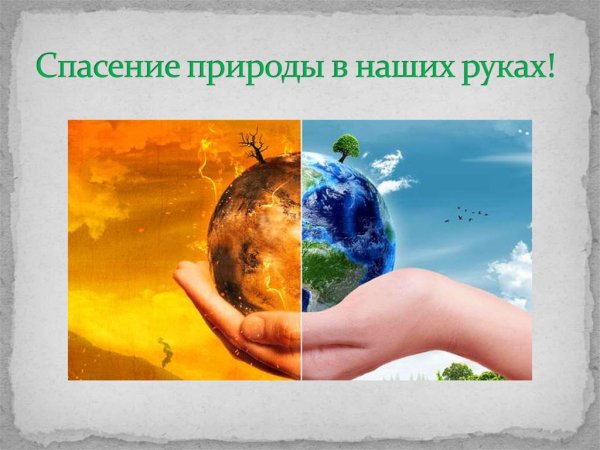 Спасение природы в наших руках