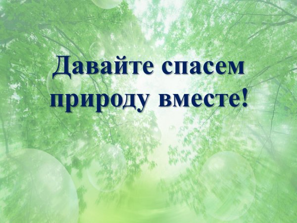 Экологические проблемы
