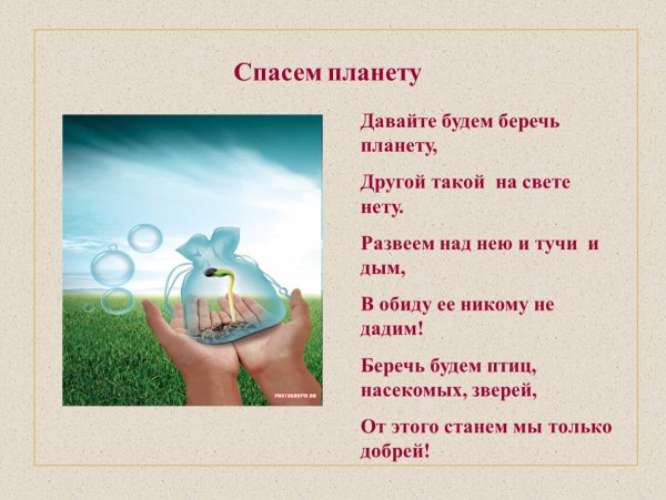 Сохраним природу вместе