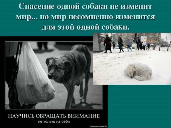 Спасем природу и все живое на земле