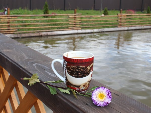 Кофе на природе