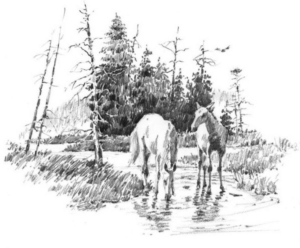 Осенний рисунок карандашом