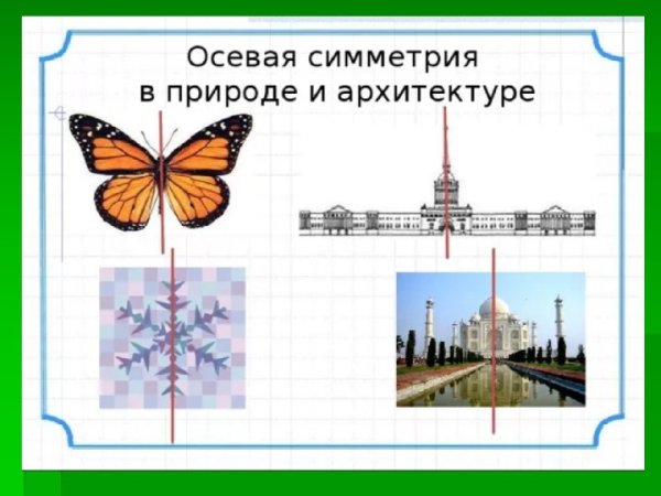 Осевая симметрия в природе