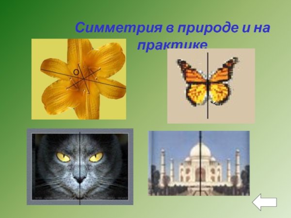 Осевая симметрия