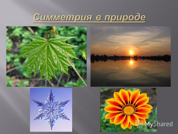 Осевая симметрия