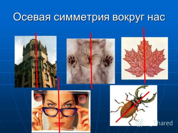 Осевая и Центральная симметрия в природе