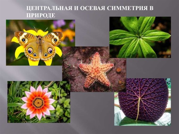 Сложные симметричные фигуры