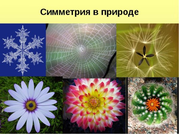 Симметричные объекты
