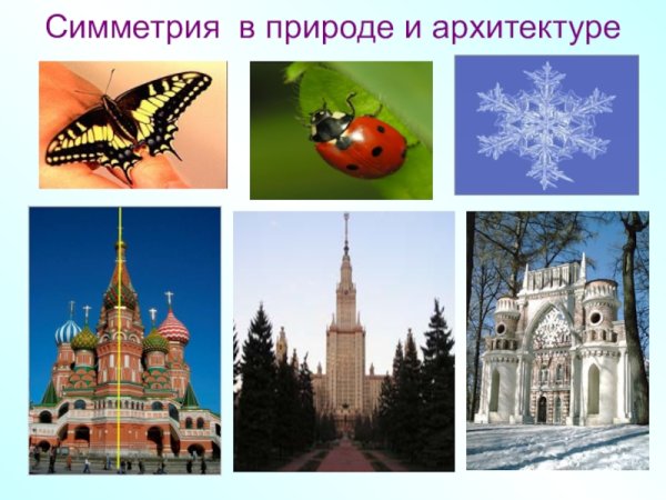 Симметричные фигуры