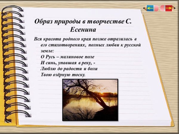Ефим Ефимович Волков «Лесное озеро». 1910