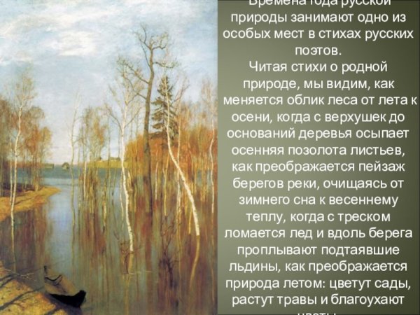Андрей Николаевич Шильдер Лесной пейзаж