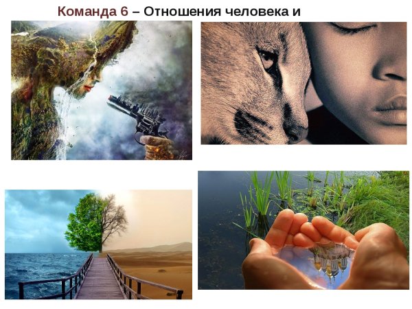 Взаимодействие человека и природы