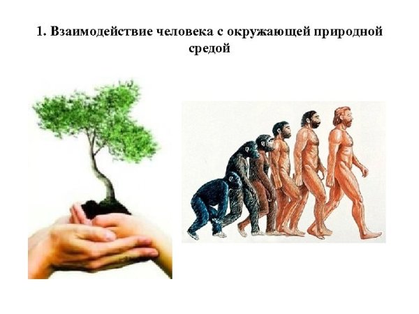 Любовь к природе