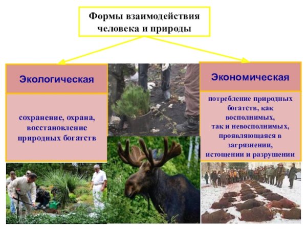 Берегите природу