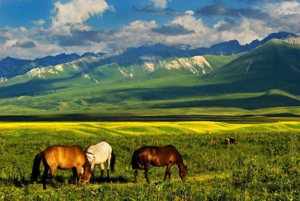 Моя Родина Казахстан