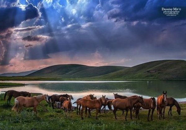 Казахская природа